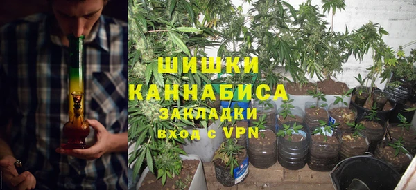 стаф Балахна