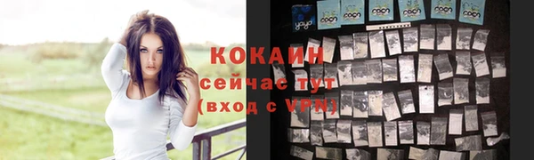 стаф Балахна
