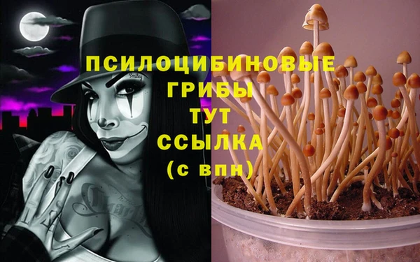 мескалин Балабаново