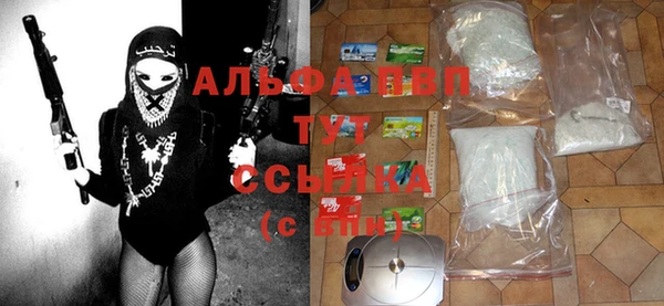 стаф Балахна