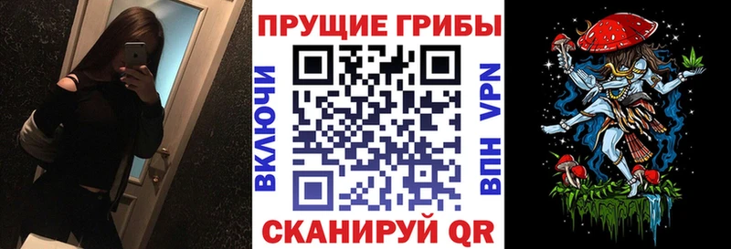 Псилоцибиновые грибы мухоморы  Высоковск 